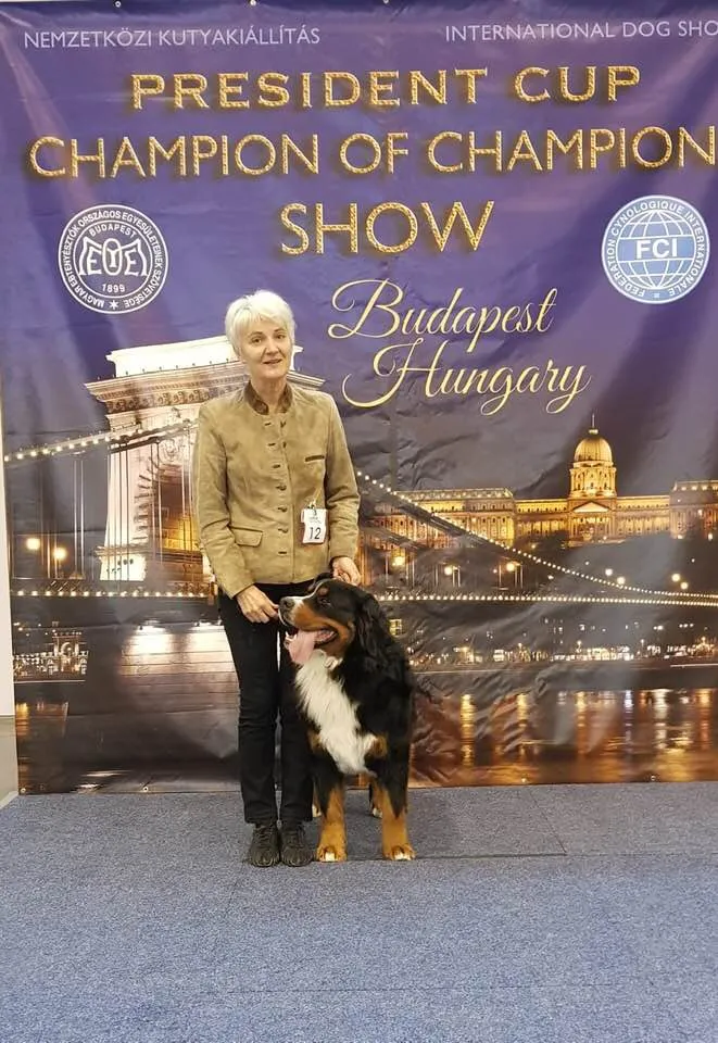 Luxury Prince Edgard Gold Heart