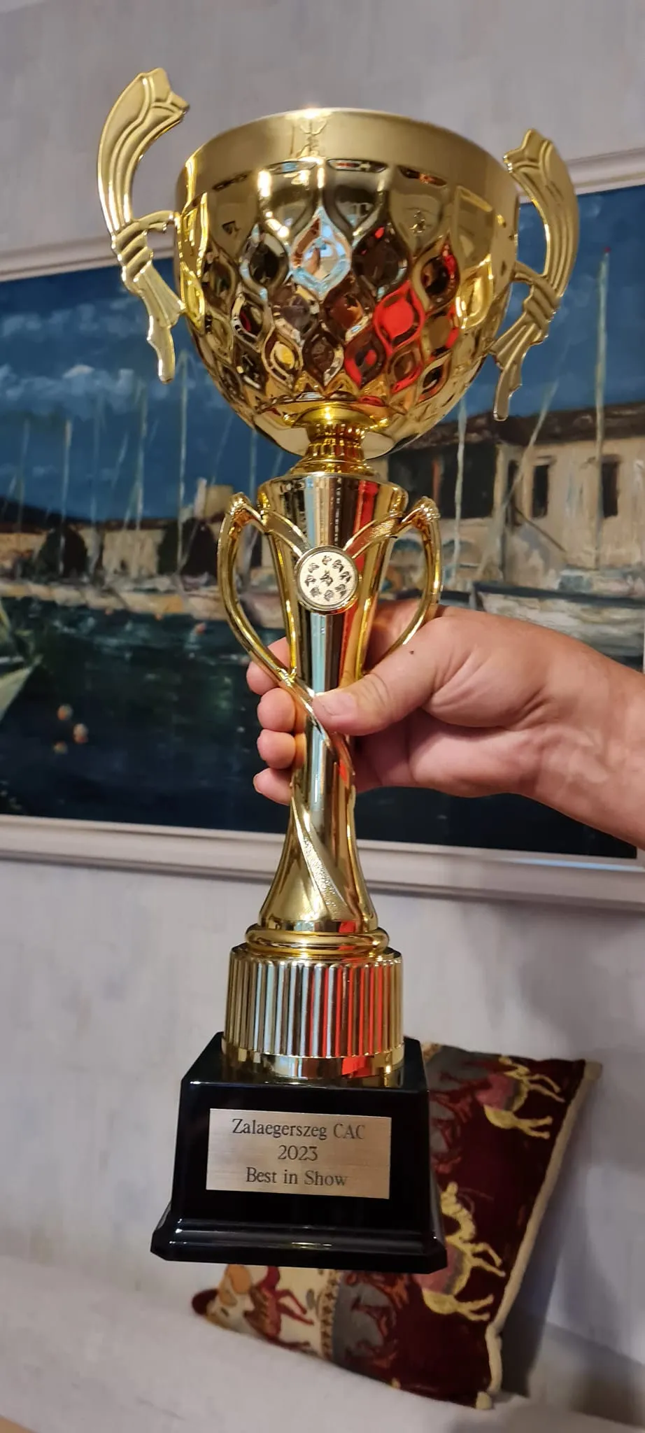 Morris Montbright Pride of Justin