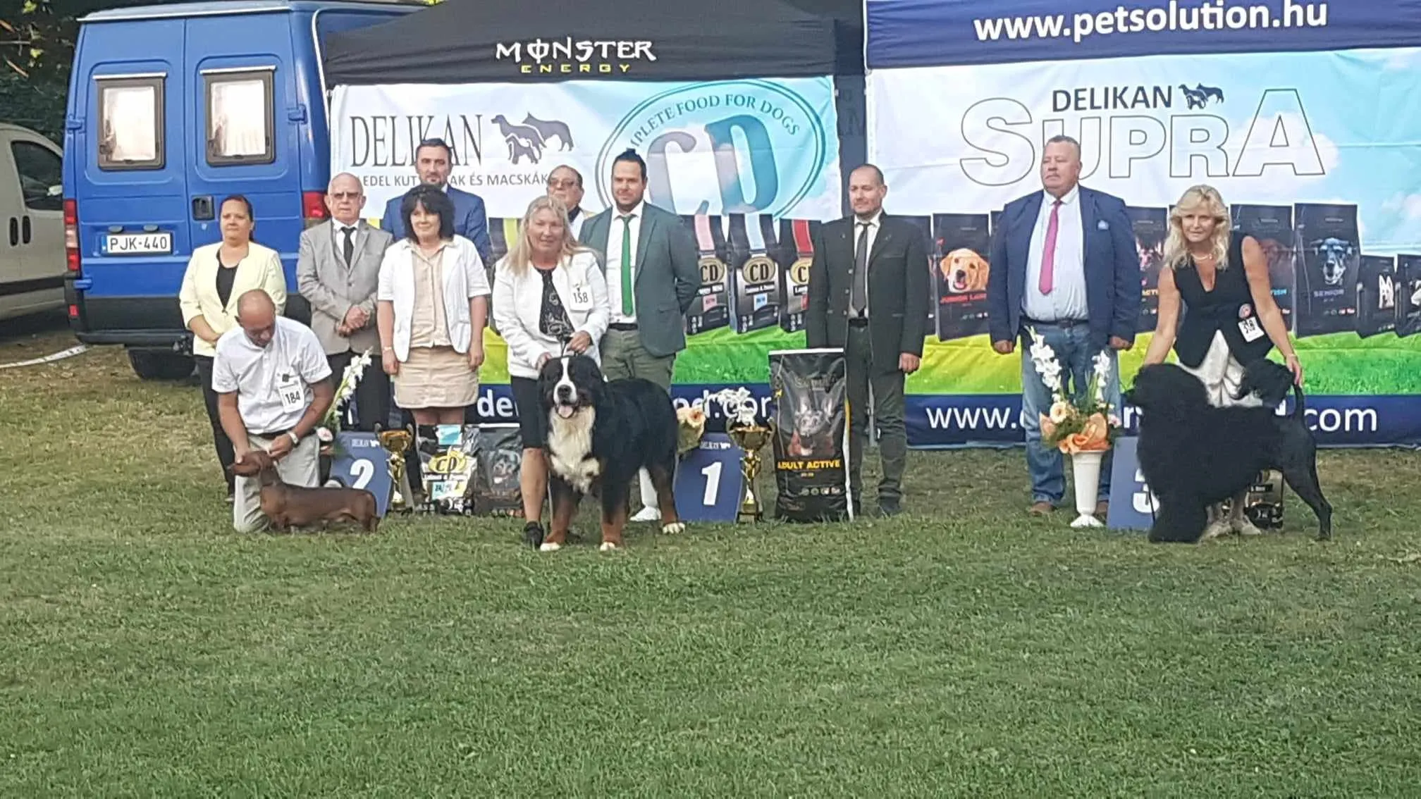 Morris Montbright Pride of Justin