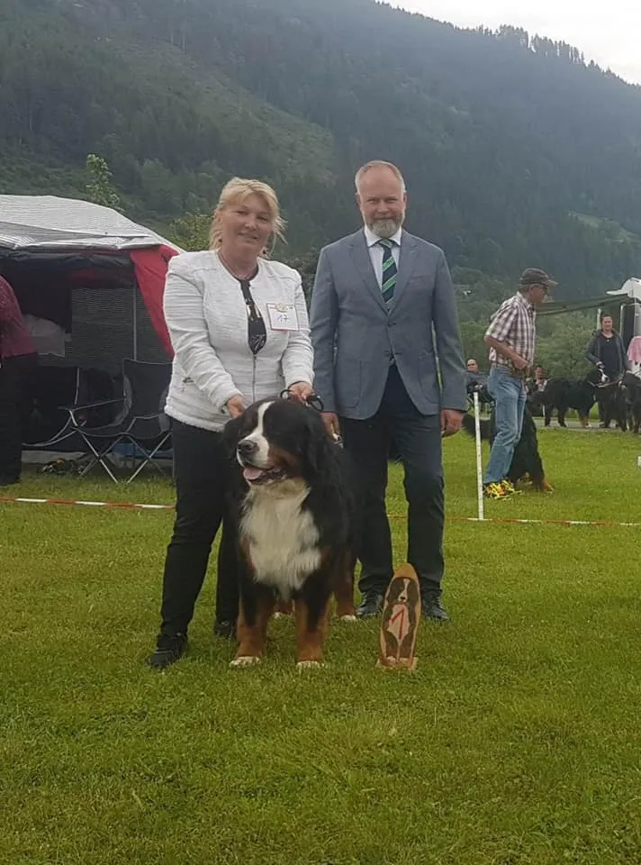 Morris Montbright Pride of Justin