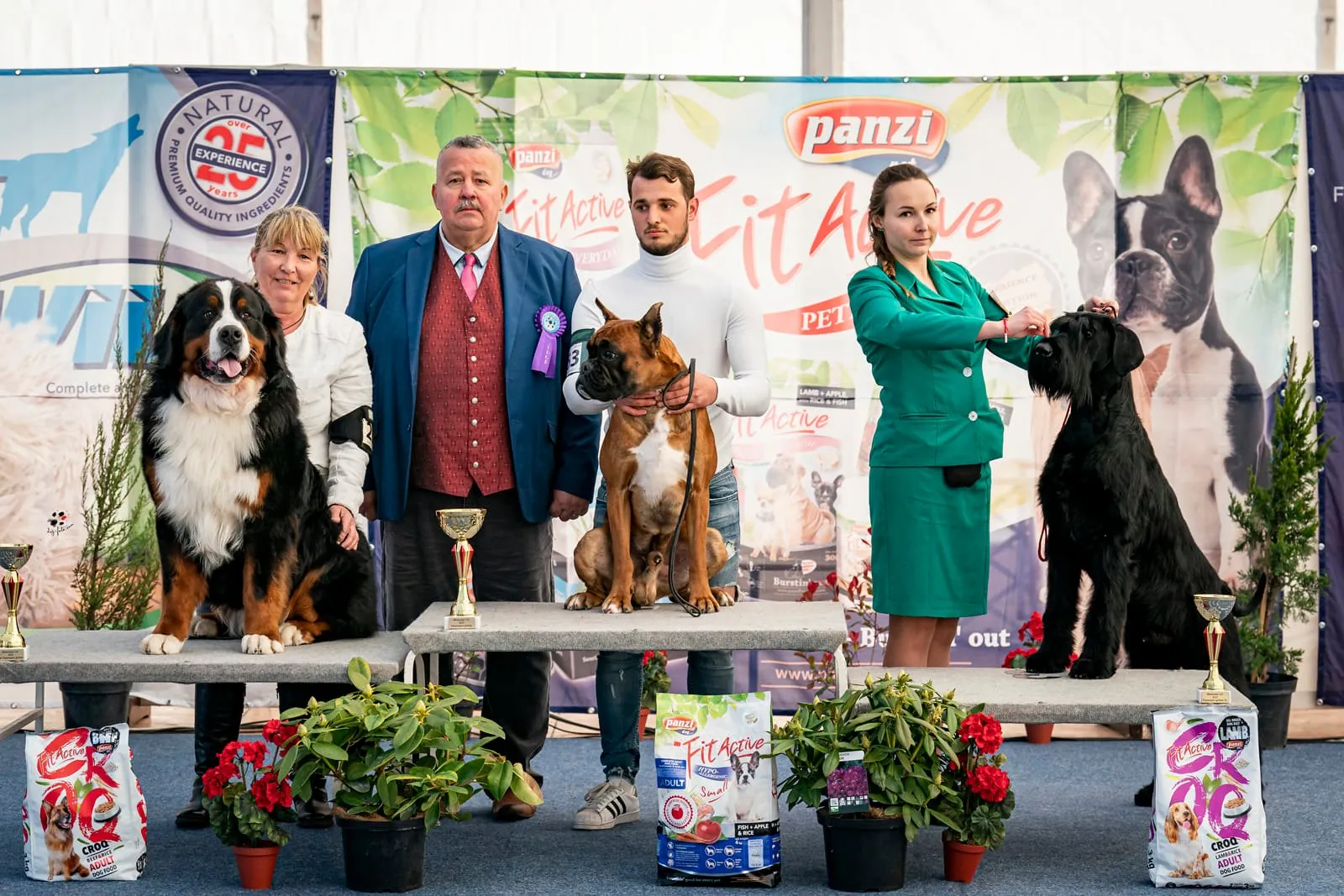 Morris Montbright Pride of Justin