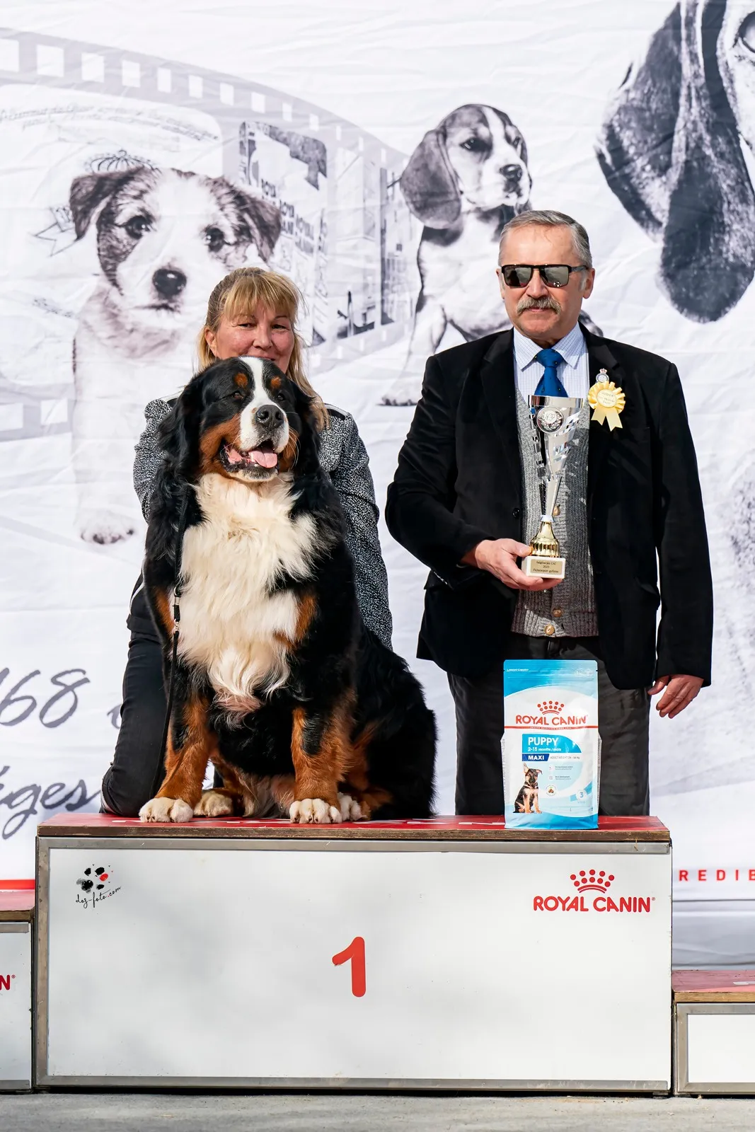 Morris Montbright Pride of Justin