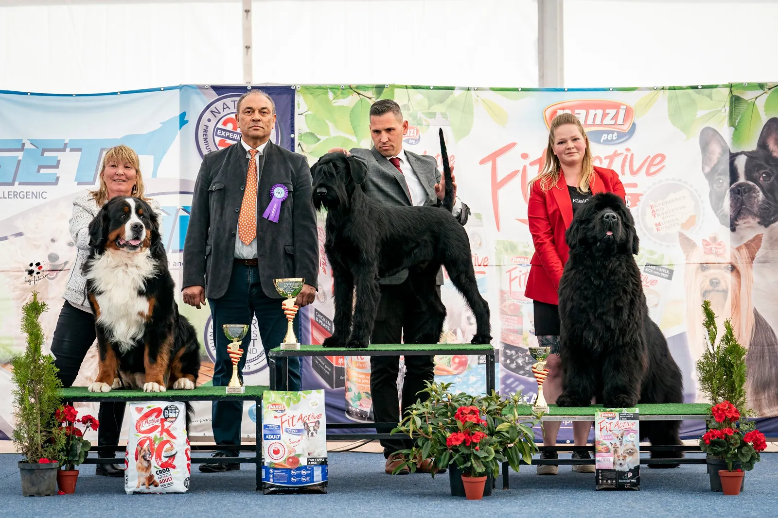 Morris Montbright Pride of Justin