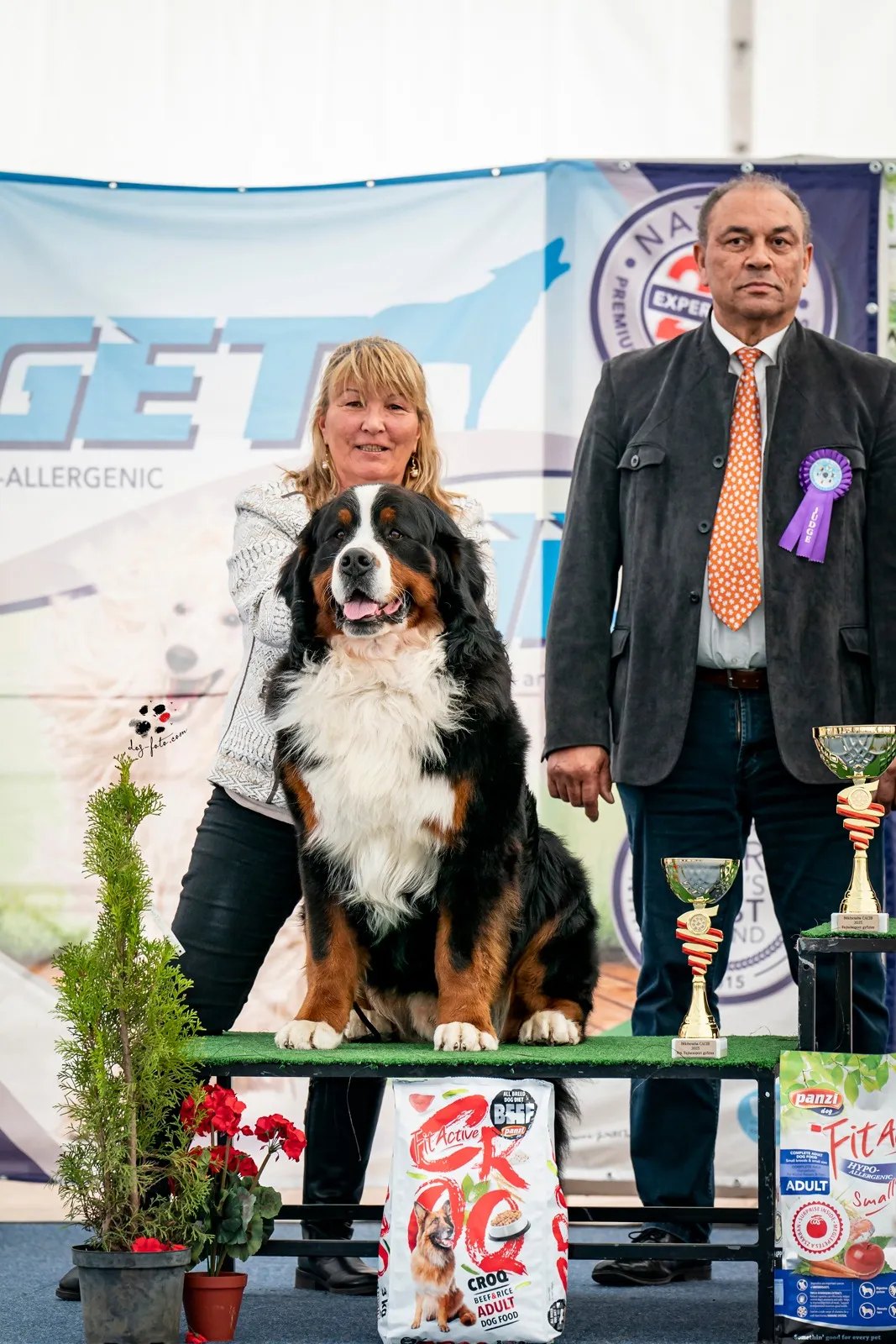 Morris Montbright Pride of Justin