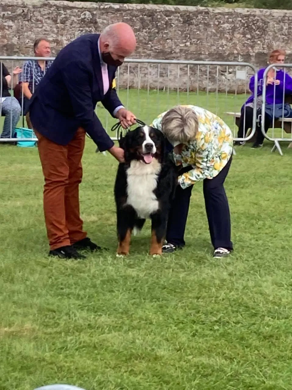 Daithi Magic Bernese