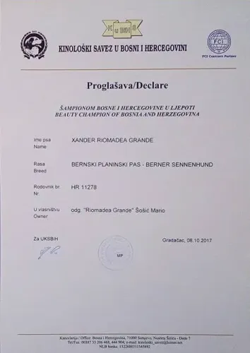 Xander Riomadea Grande