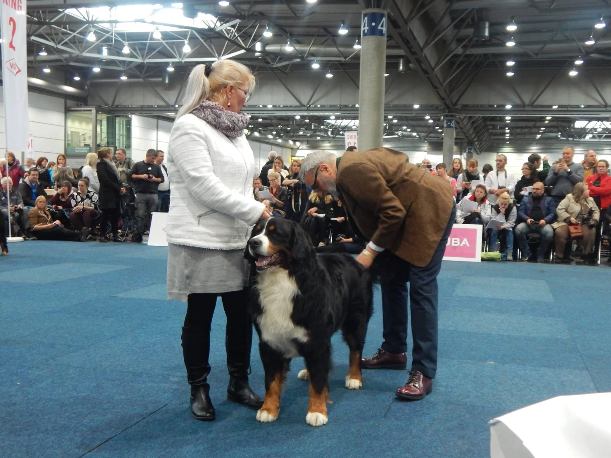 Kappahegyi Just for You "Jack"