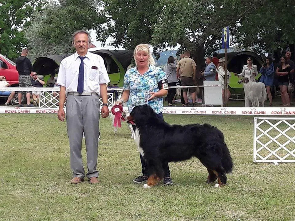 Kappahegyi Just for You "Jack"