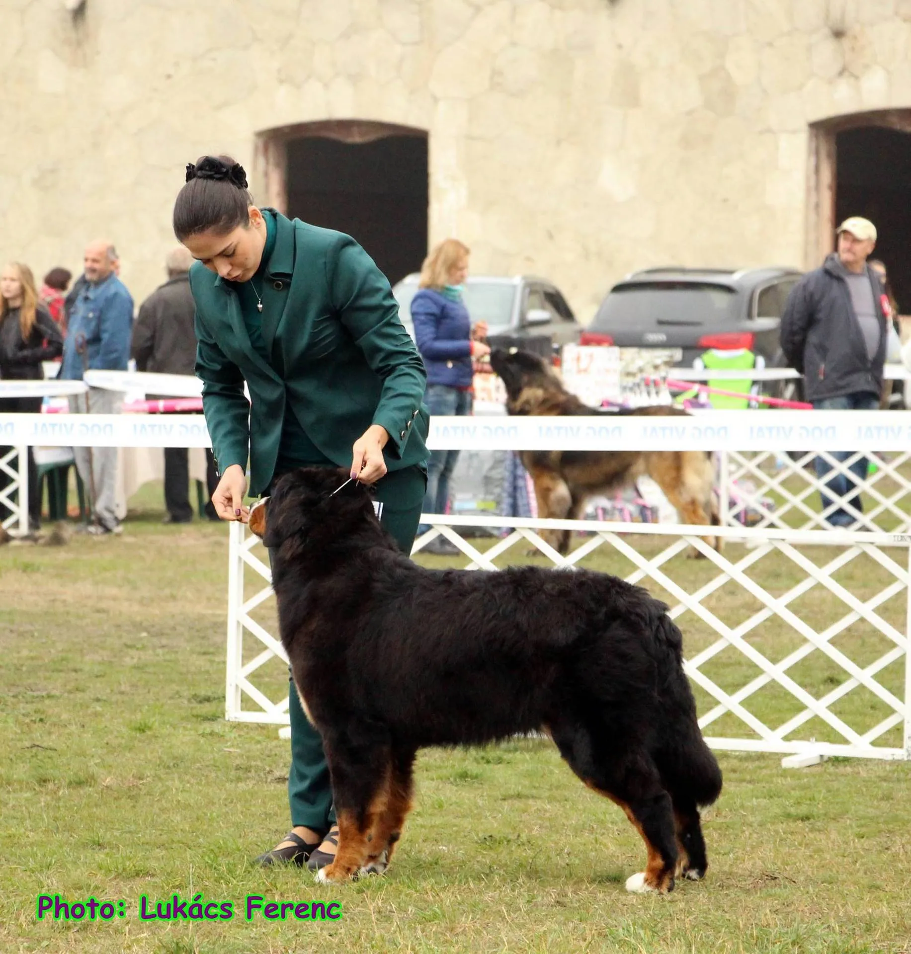 Alina Komárom CACIB