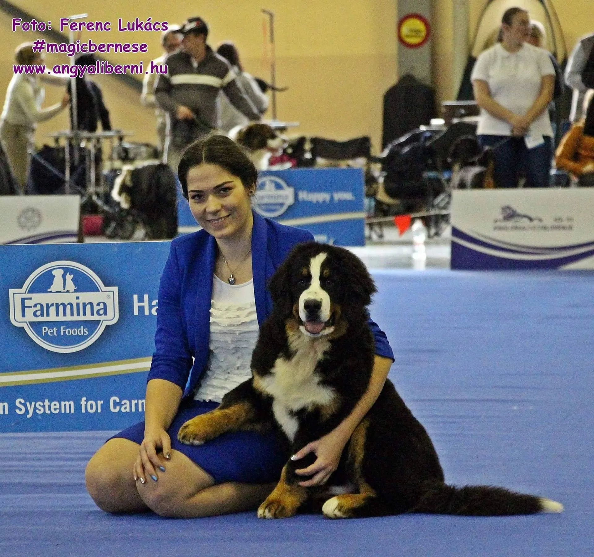 Celje 2x CACIB Berni speciál