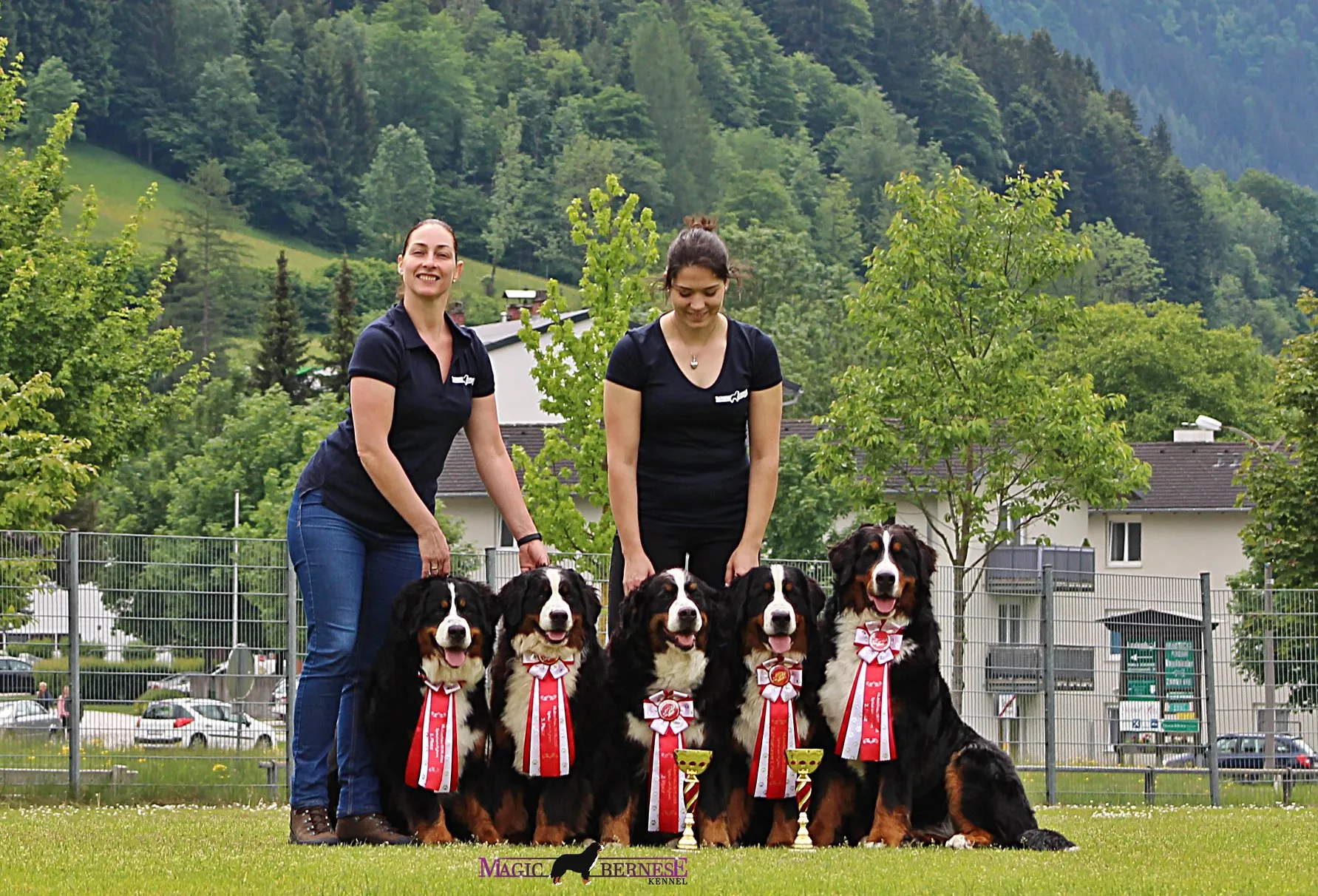 Osztrák Klub és Speciál kiállítás