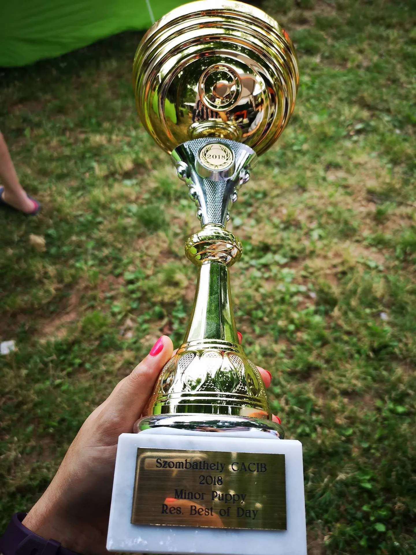 Szombathely Savaria Winner CACIB