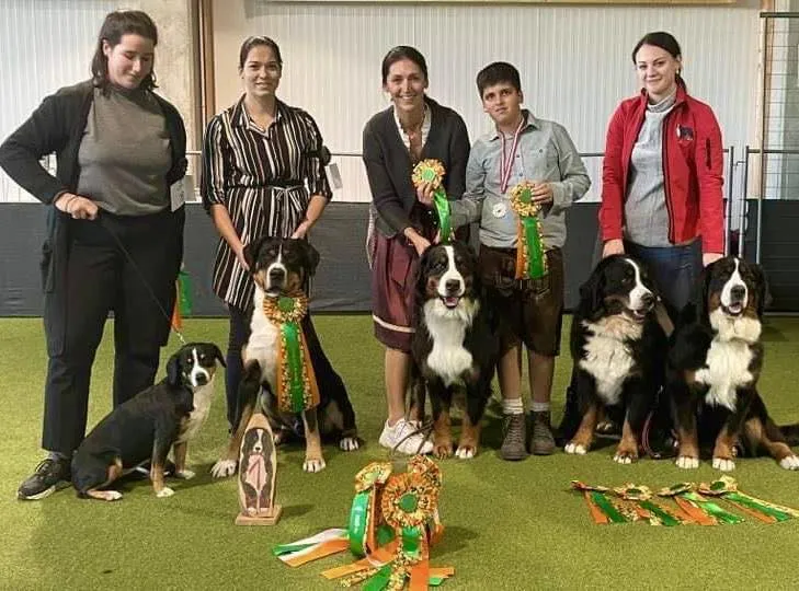 Osztrák bernis klubkiállítás