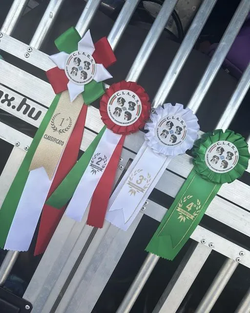 Ferrara Olaszország kiállítások