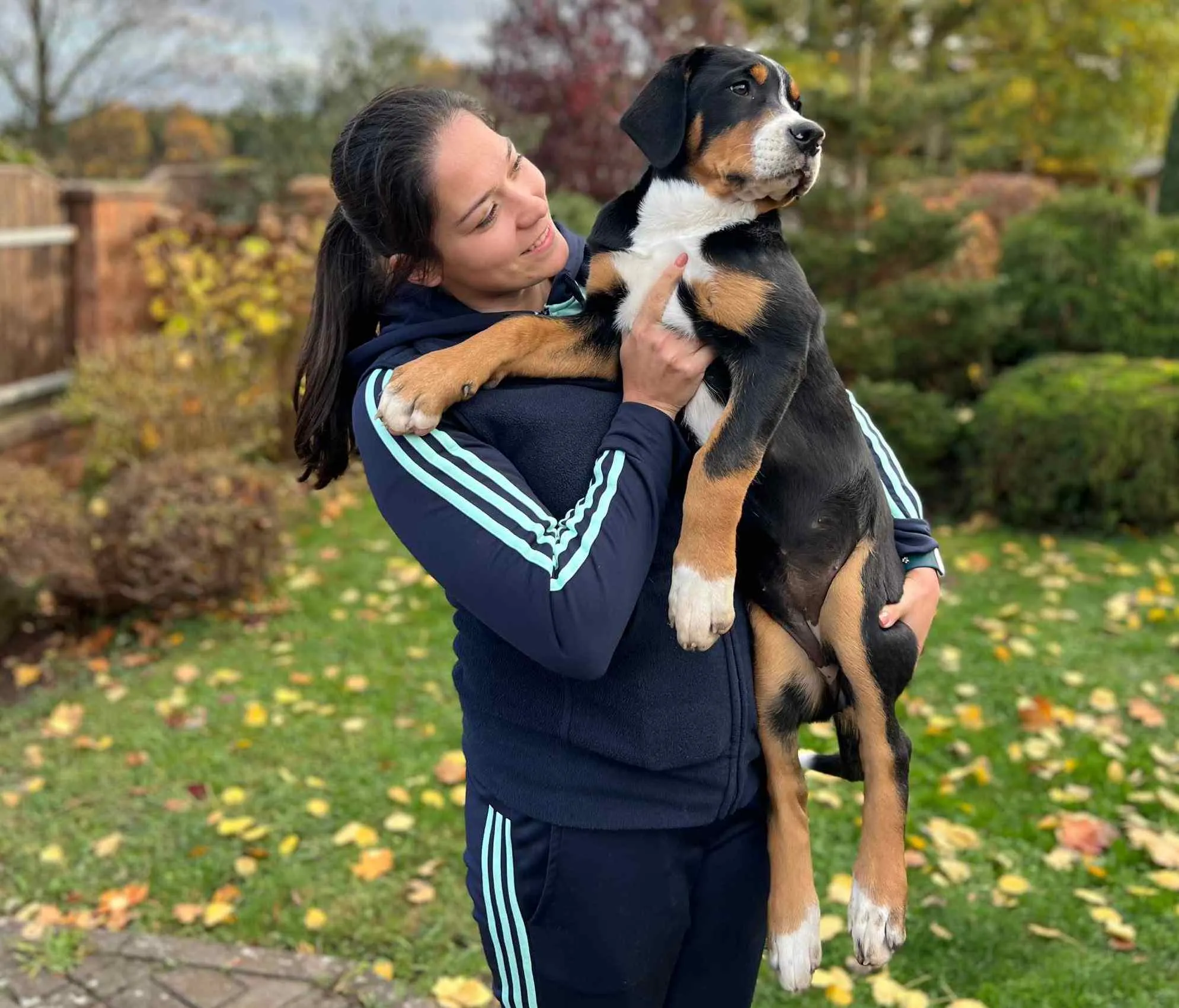 Új családtag Csehországból