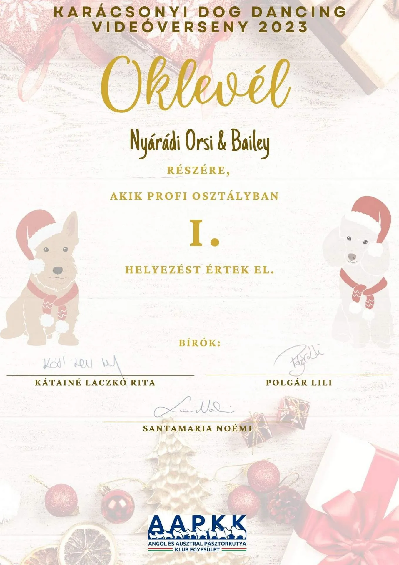 Karácsonyi Dog Dancing