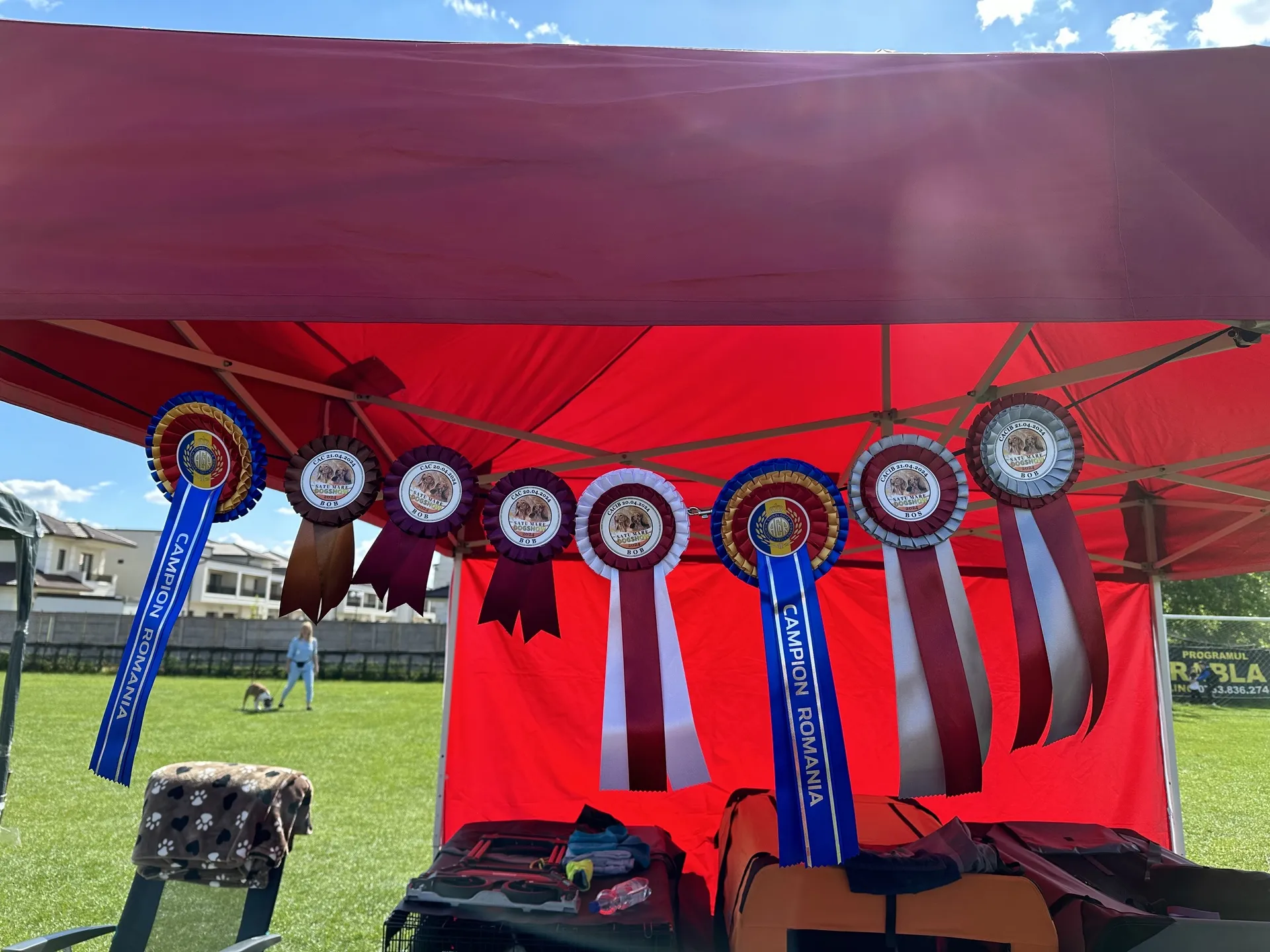 Szatmárnémeti Románia