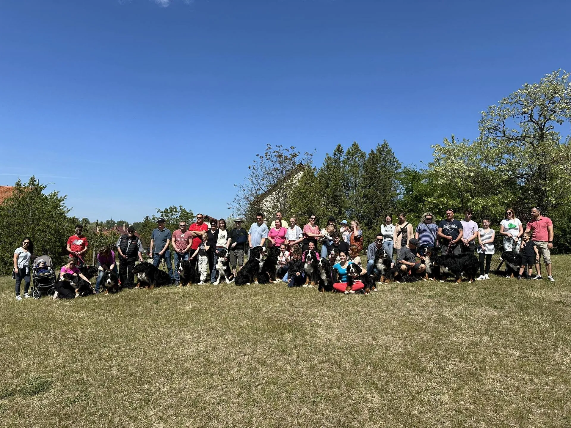 VII. Magic Bernese Kennel találkozó