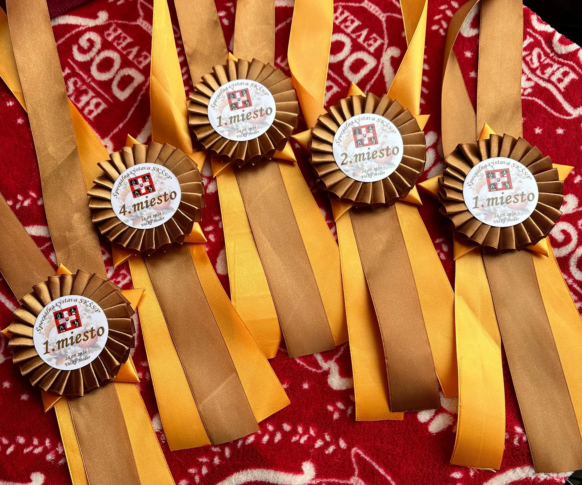 Szlovákiai őszi speciál kiállítás