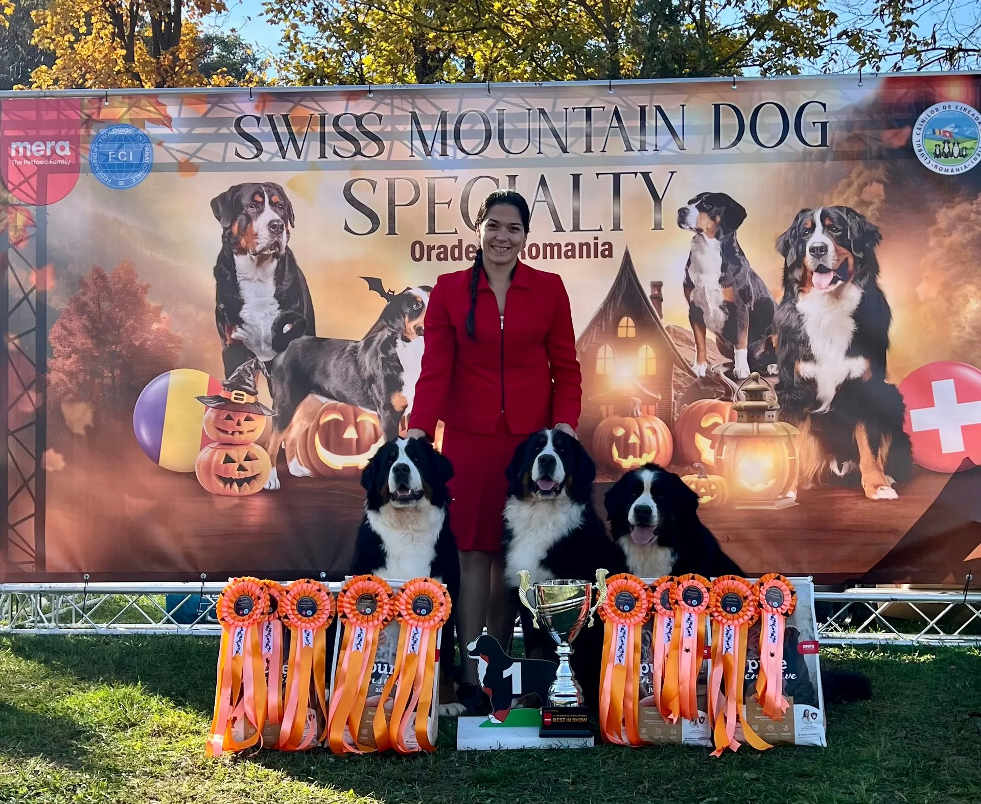 Nagyvárad Speciál kiállítás