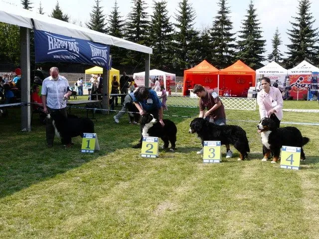 Szilvásvárad CACIB 2009