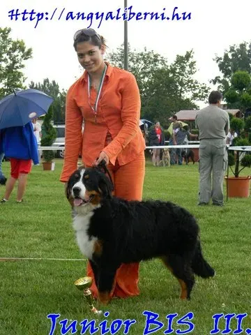 Debrecen éjszakai CAC