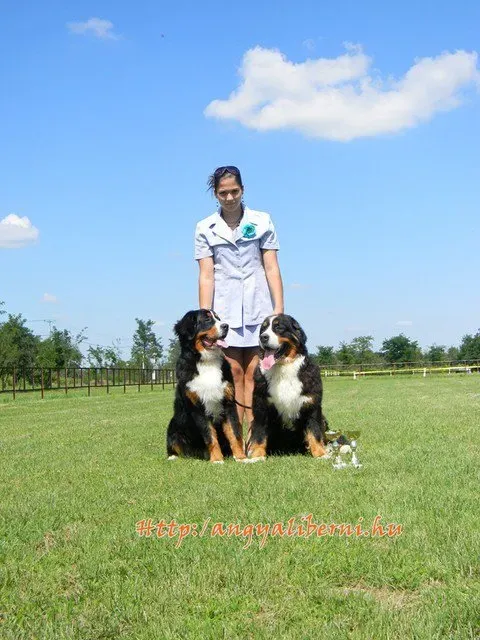 Karcag Tájjellegű 2010