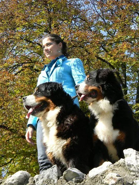 Miskolc Tájjellegű 2010