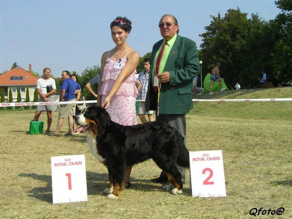 Debrecen 2x CACIB 2012