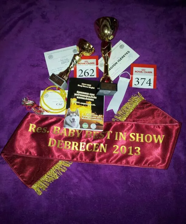 Debrecen éjszakai CAC