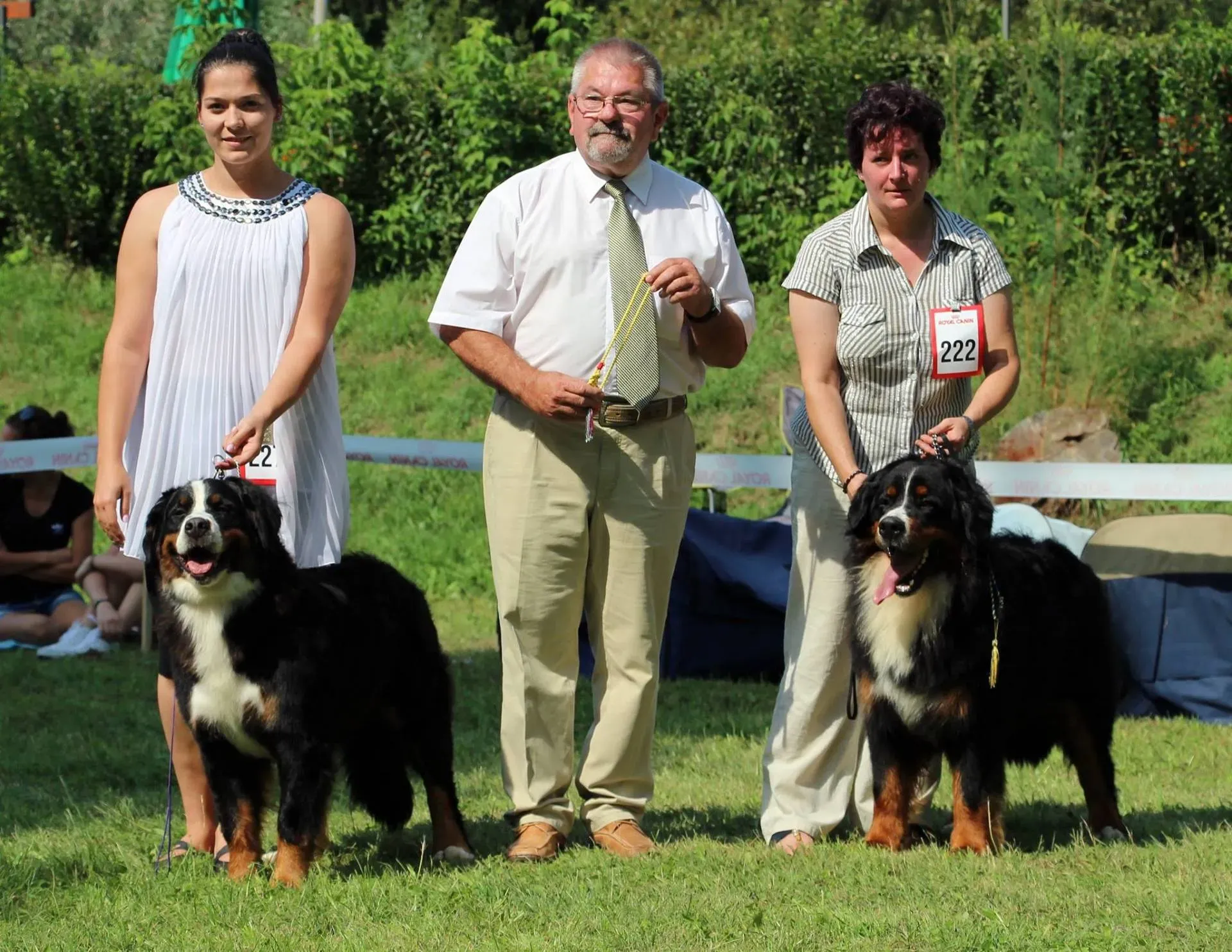 Salgótarján CAC 2016