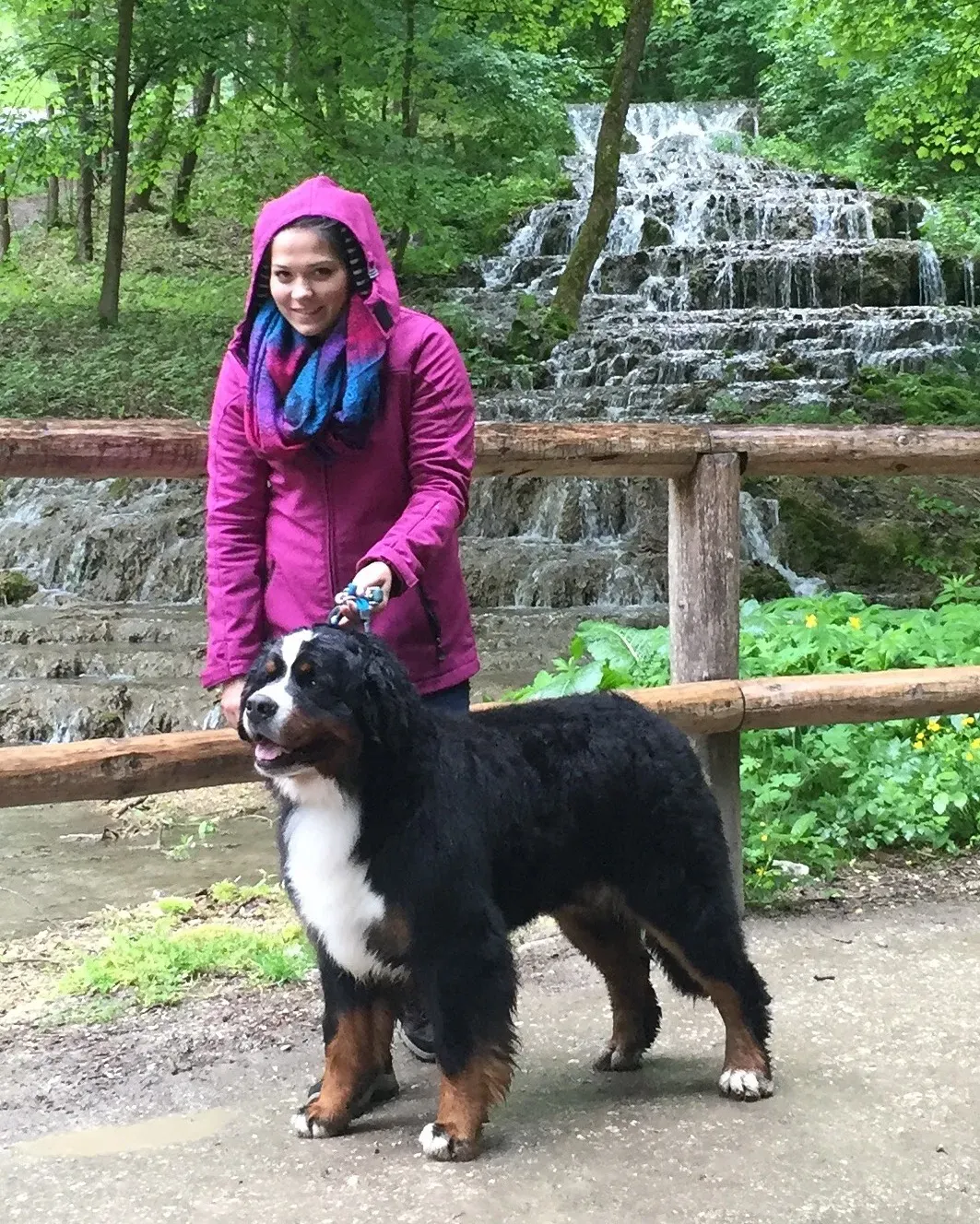 Szilvásvárad 2x CACIB