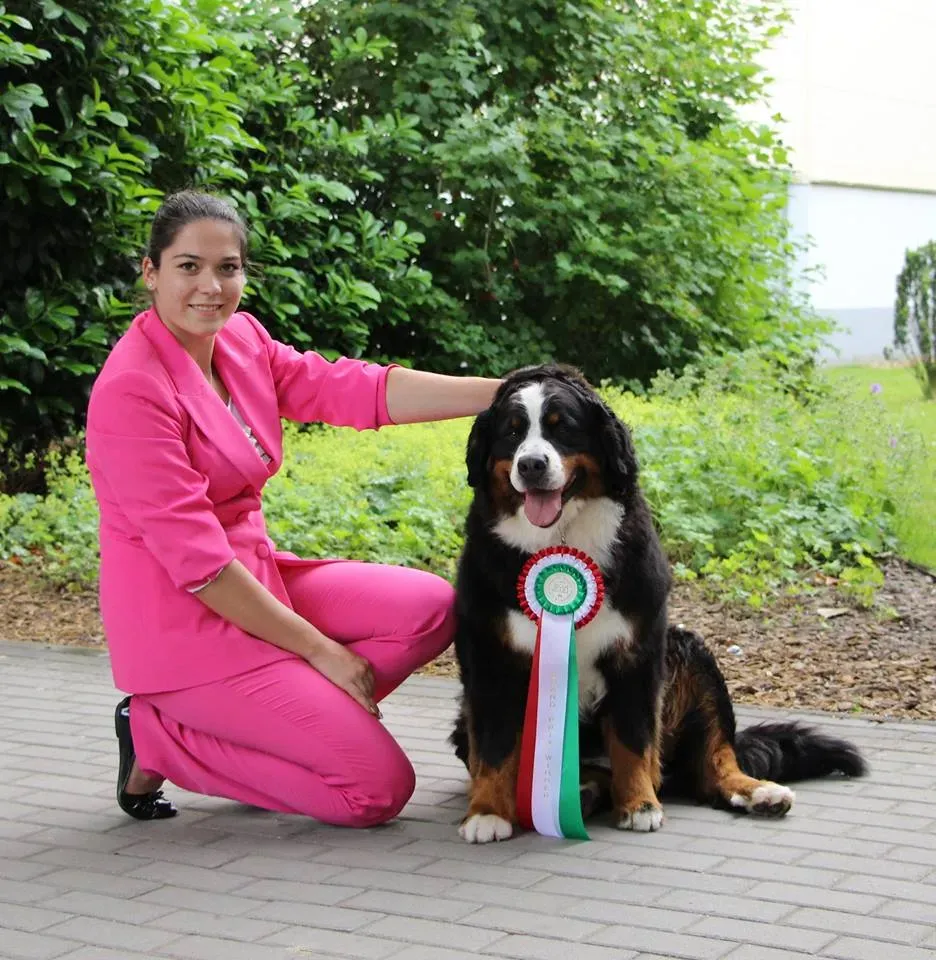 Budapest 2x CACIB Grand Prix