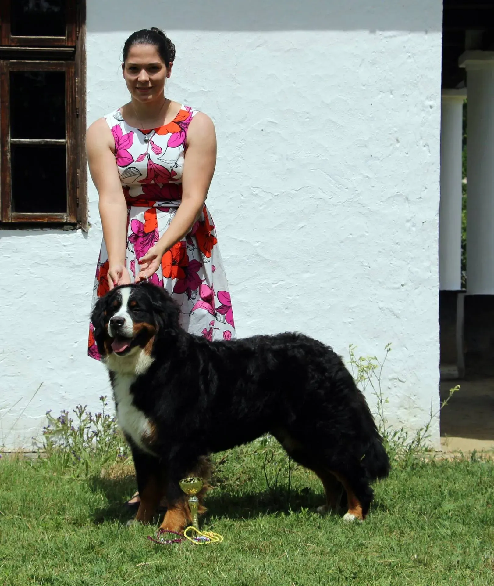 Nyíregyháza CAC - Zara