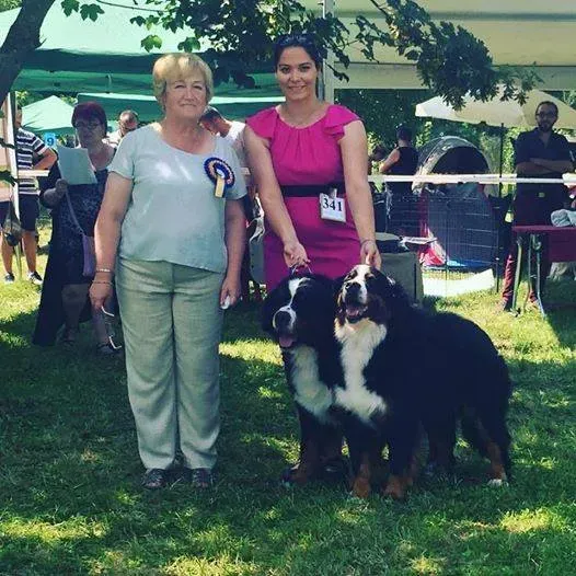 Debrecen és Nagyvárad