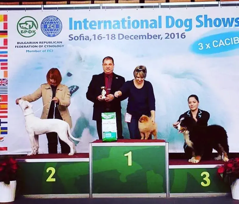 Bulgária Szófia 3x CACIB