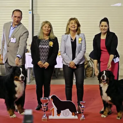 SHKME Speciál Kiállítás