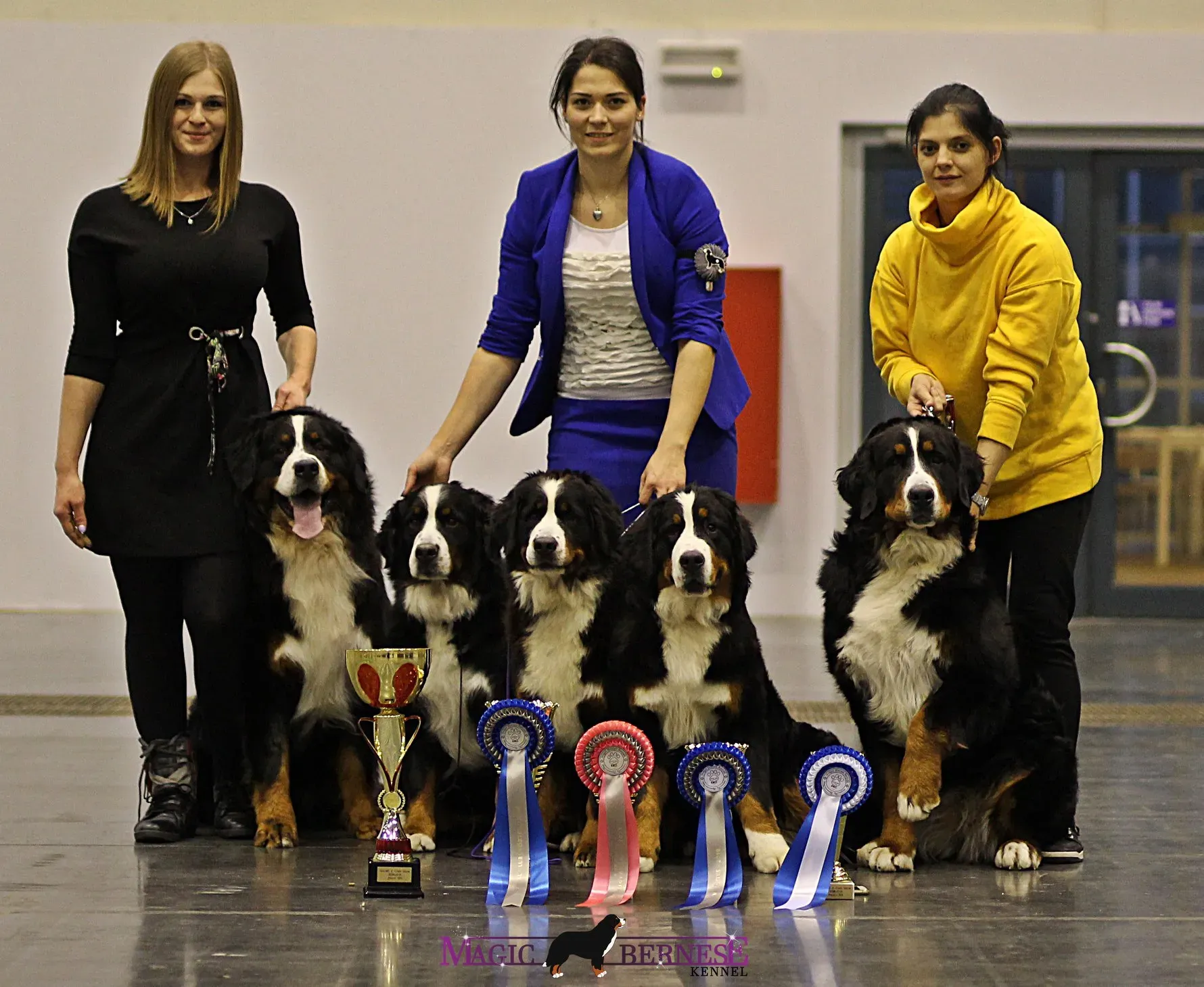 II.SHKME Klubkiállítás