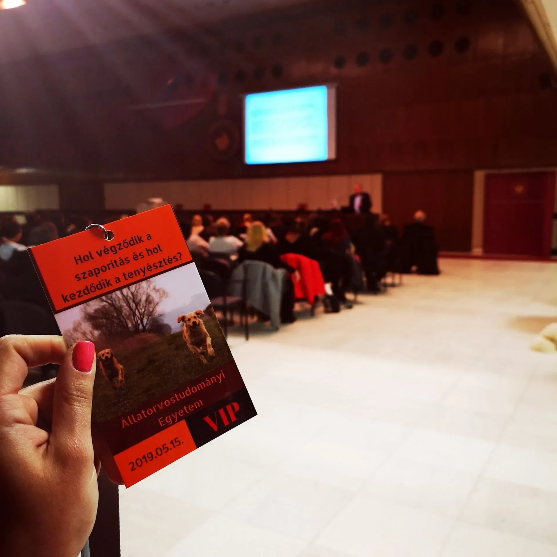 Állatorvosi konferencia