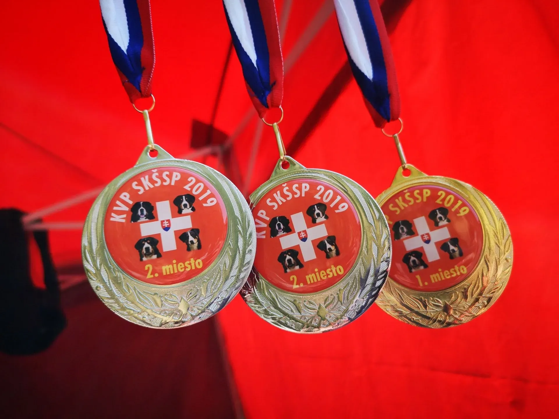 SKSSP Szlovák klubkiállítás