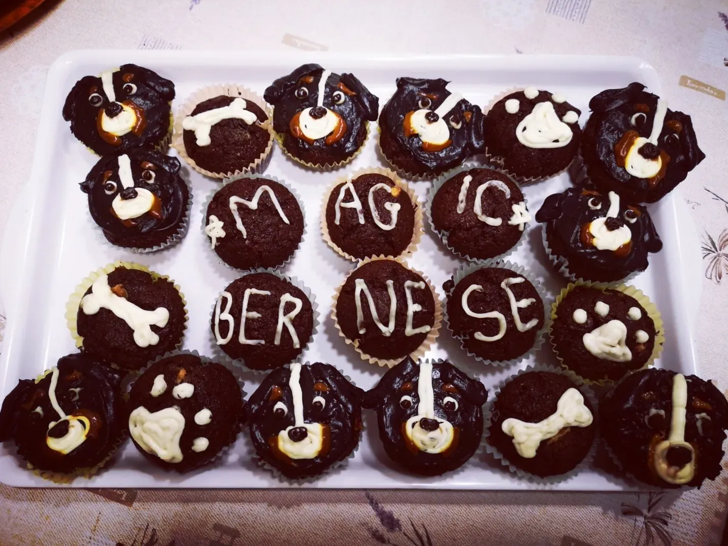 Ausztria kiállítás