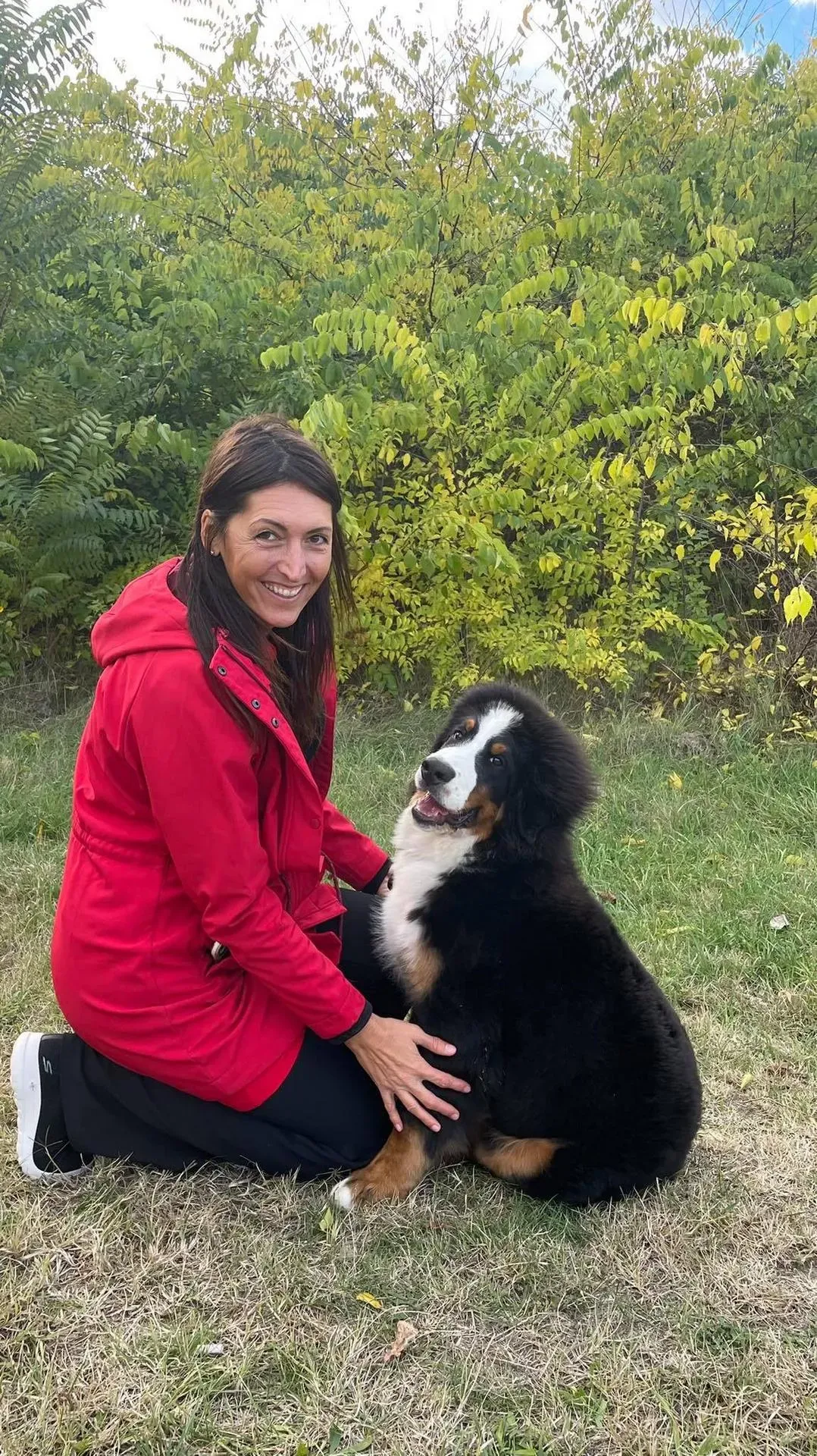 Komárom CACIB - Joel