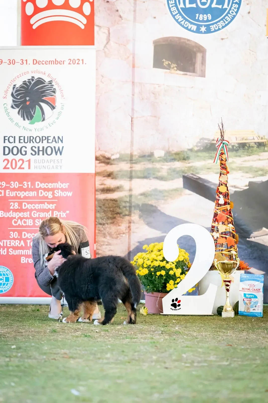 Komárom CACIB - Kaley