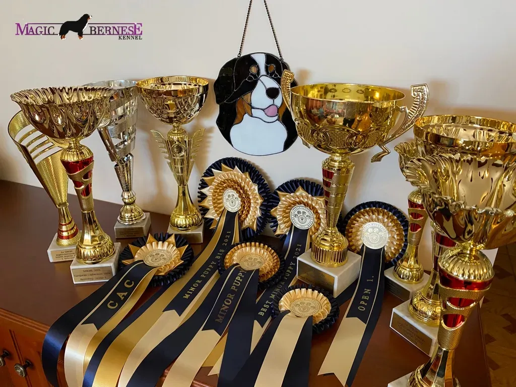 SHKME 2020 évgyőztes pontverseny