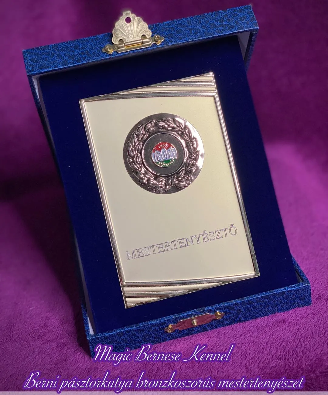 Bronzkoszorús mesterkennel