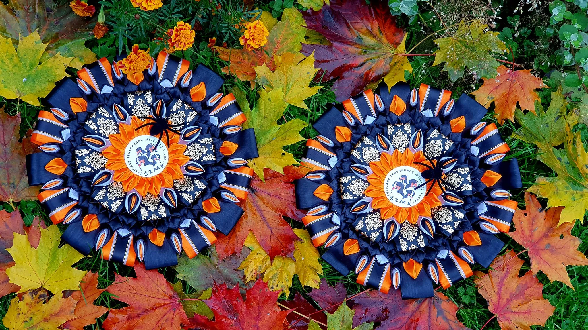 Litván Berni Klub fotópályázat 2. hely