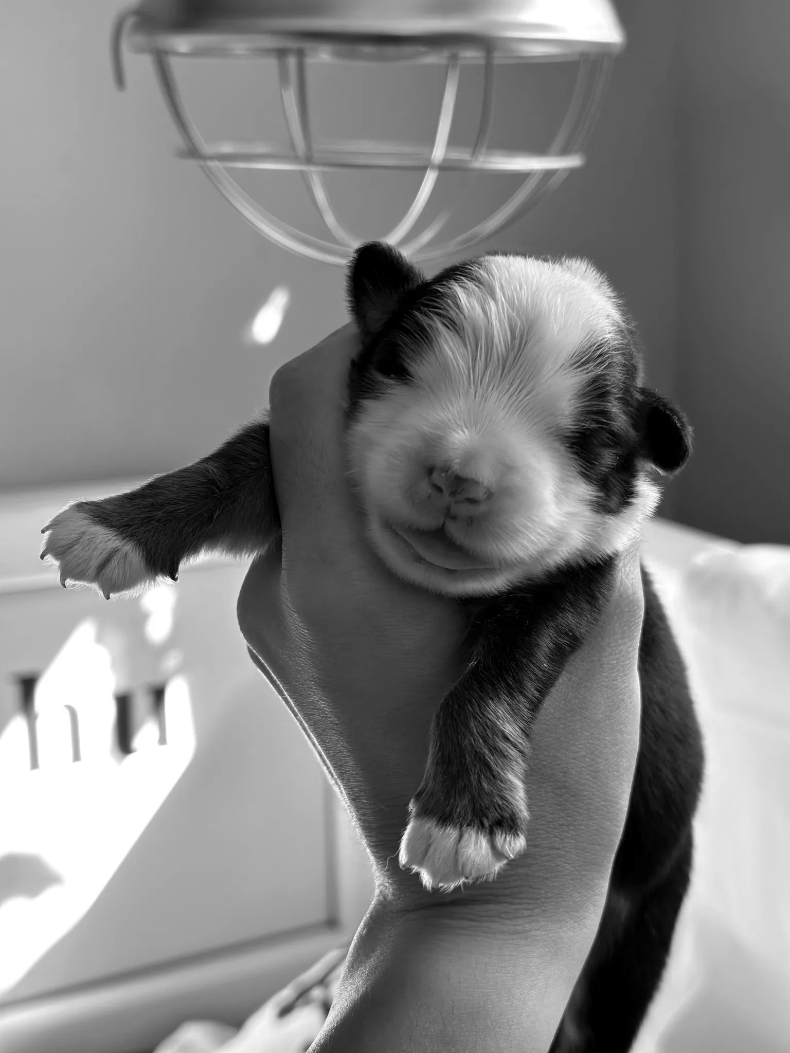 Egy kis lélekkel több lett odafenn