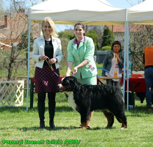 Pécs CAC 2015
