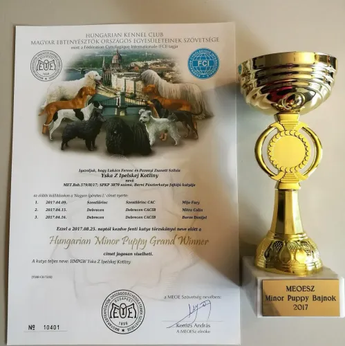 Alina baby champion