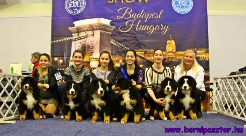 I. Kennel Találkozó